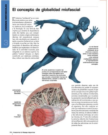 Anatomía y Masaje Deportivo, por  Artur Jacomet Carrasco y Josep Mármol Esparcia. Ediciones Paidotribo