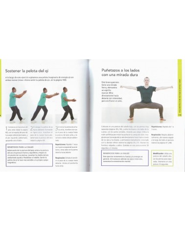 La biblia del qigong, por Katherine Allen. Gaia Ediciones