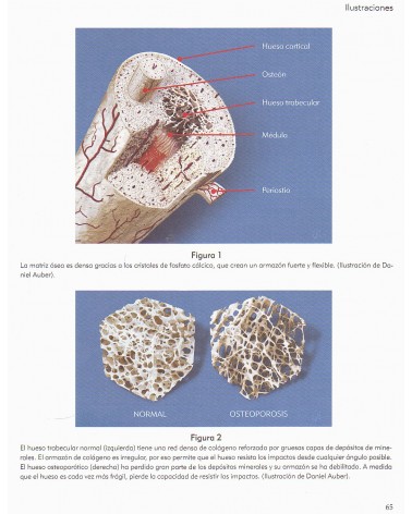 Huesos sanos, de Helen-Bryman y Laura Kelly. Editorial Sirio
