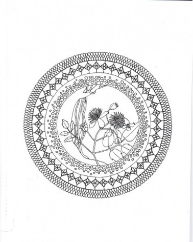 Método alquimia, Mandalas de las flores de Bach, los doce curadores. Por Marcela Rioseco Murden. Editorial: El Grano de Mostaza