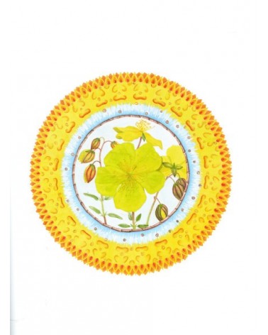 Método alquimia, Mandalas de las flores de Bach, los doce curadores. Por Marcela Rioseco Murden. Editorial: El Grano de Mostaza