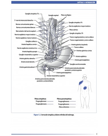 Tratado de osteopatía visceral y medicina interna. Tomo II.Sistema digestivo, por Francois Ricard. Editorial: MEDOS