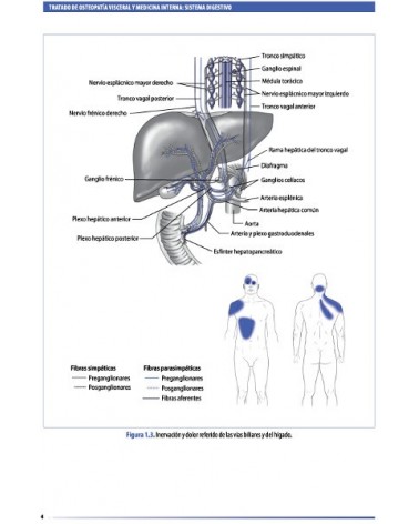 Tratado de osteopatía visceral y medicina interna. Tomo II.Sistema digestivo, por Francois Ricard. Editorial: MEDOS