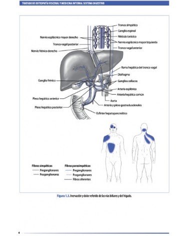 Tratado de osteopatía visceral y medicina interna. Tomo II.Sistema digestivo, por Francois Ricard. Editorial: MEDOS
