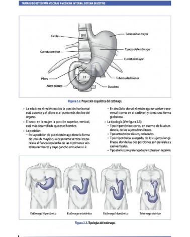 Tratado de osteopatía visceral y medicina interna. Tomo II.Sistema digestivo, por Francois Ricard. Editorial: MEDOS