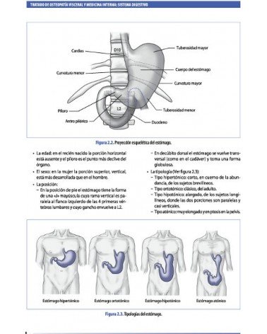 Tratado de osteopatía visceral y medicina interna. Tomo II.Sistema digestivo, por Francois Ricard. Editorial: MEDOS