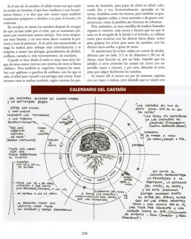 La magia de los árboles, por Ignacio Abella. RBA Ediciones