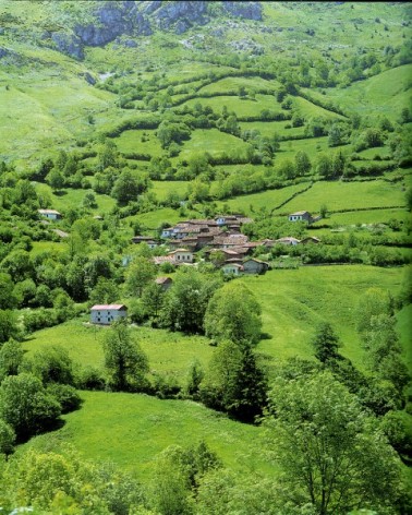 La magia de los árboles, por Ignacio Abella. RBA Ediciones