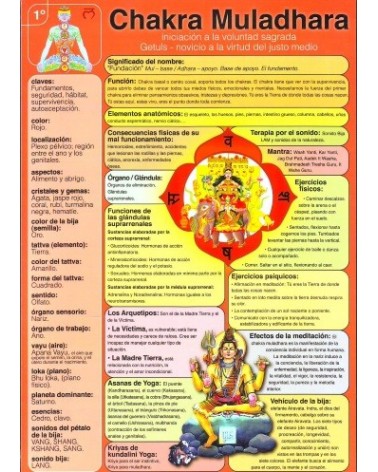 Ficha A-4 1ª Chakra Muladhara