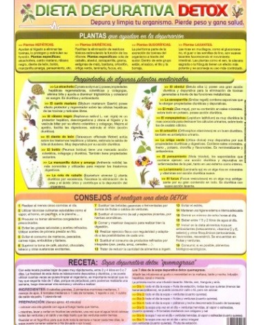Ficha A-4 dieta depurativa Detox