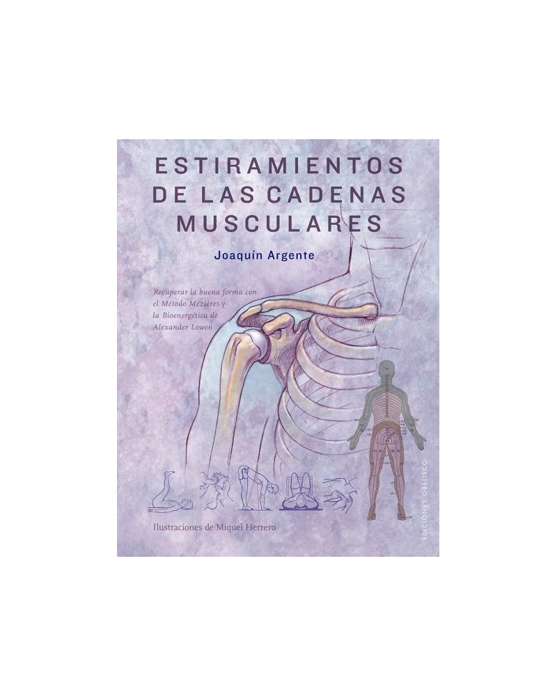 Estiramientos de las cadenas musculares