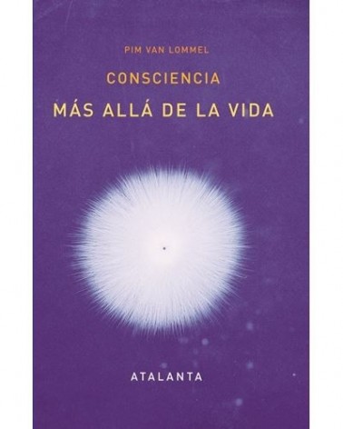 Consciencia más allá de la vida