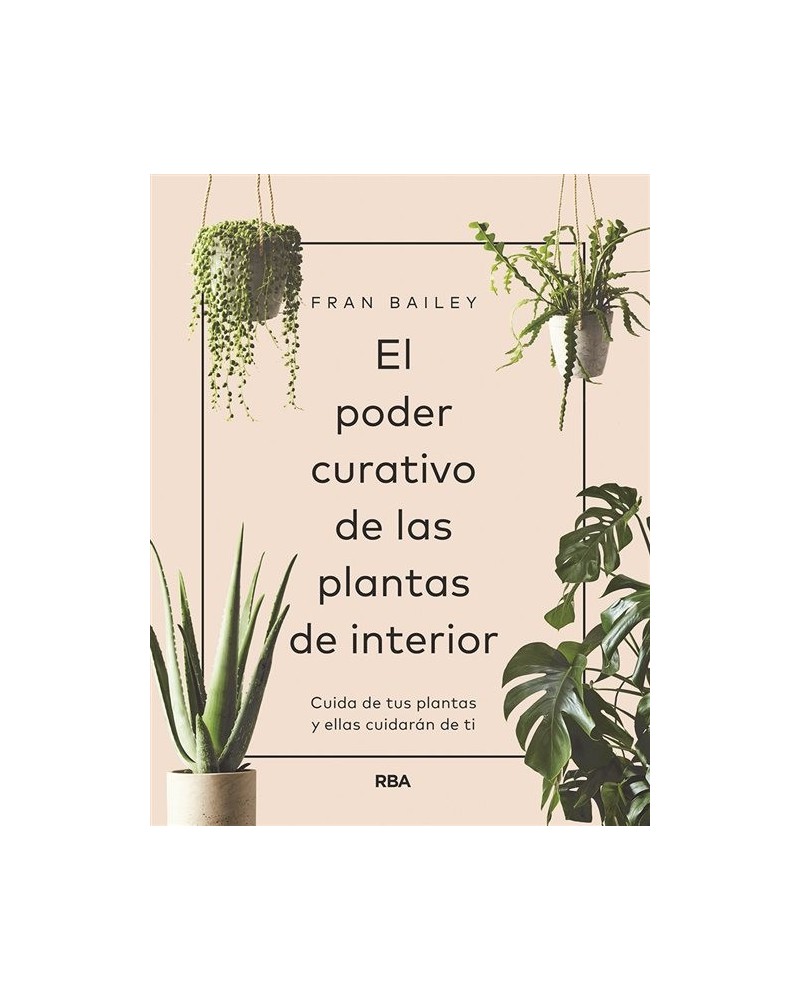 El poder curativo de las plantas de interior