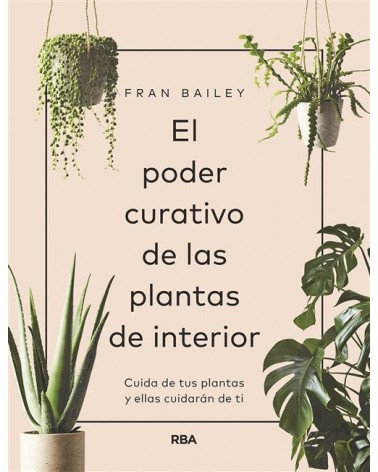 El poder curativo de las plantas de interior