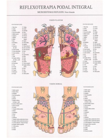 Ficha A-4 Reflexoterapia podal integral