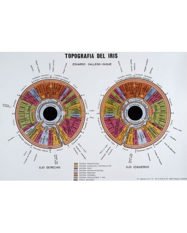 Lámina de pared Topografia del iris