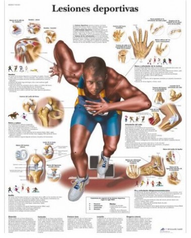 Lámina de pared Lesiones deportivas