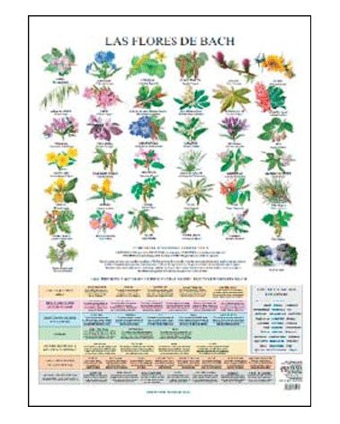 Lamina De Pared Flores De Bach