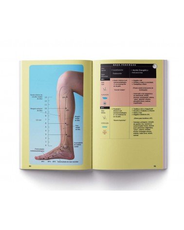 Manual de Acupuntura