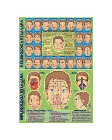 Ficha A-4 Reflexologia De La Cara