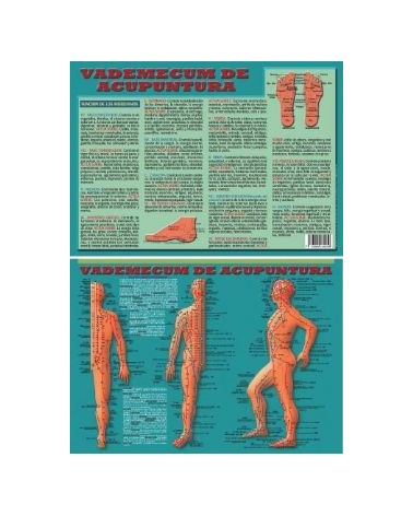 Ficha A-4 Vademecum De Acupuntura