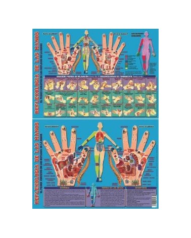 Ficha A-4 Reflexologia De Las Manos