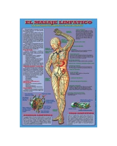 Ficha A-4 Masaje Linfatico