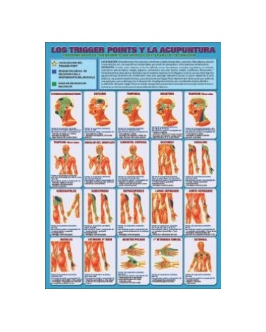 Ficha A-4 Los Trigger Points Y La Acupuntura