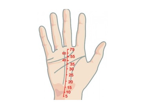 Libros de Quiromancia